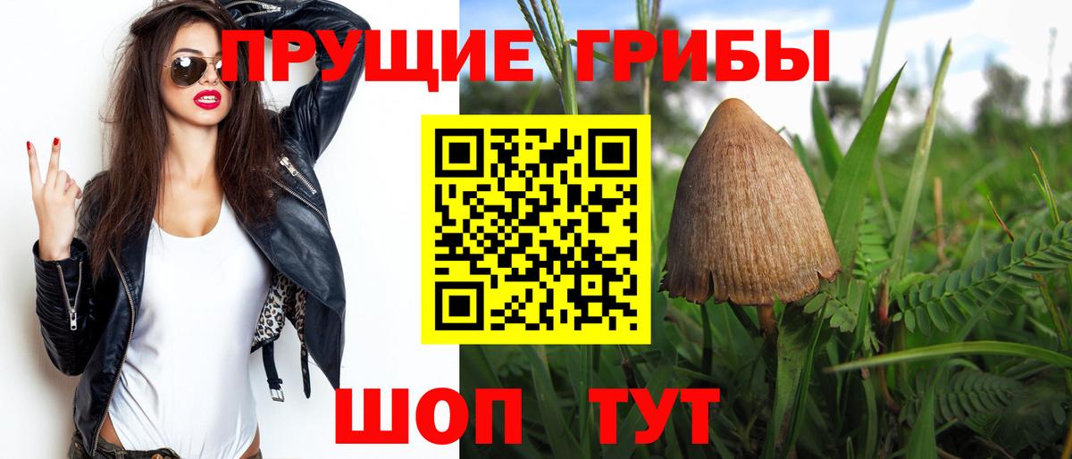 Альметьевск  Псилоцибиновые грибы мухоморы  Вход с VPN 